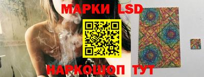 прущие грибы Конаково