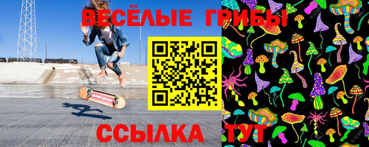 Жигулёвск  Псилоцибиновые грибы прущие грибы  Вход с VPN 