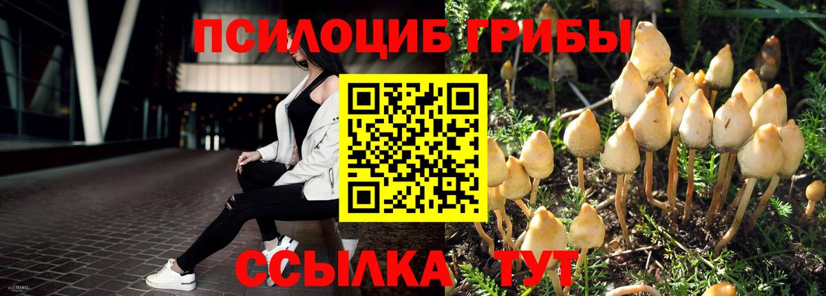 закладки  Галлюциногенные грибы MAGIC MUSHROOMS  Жигулёвск  Псилоцибиновые грибы мицелий 